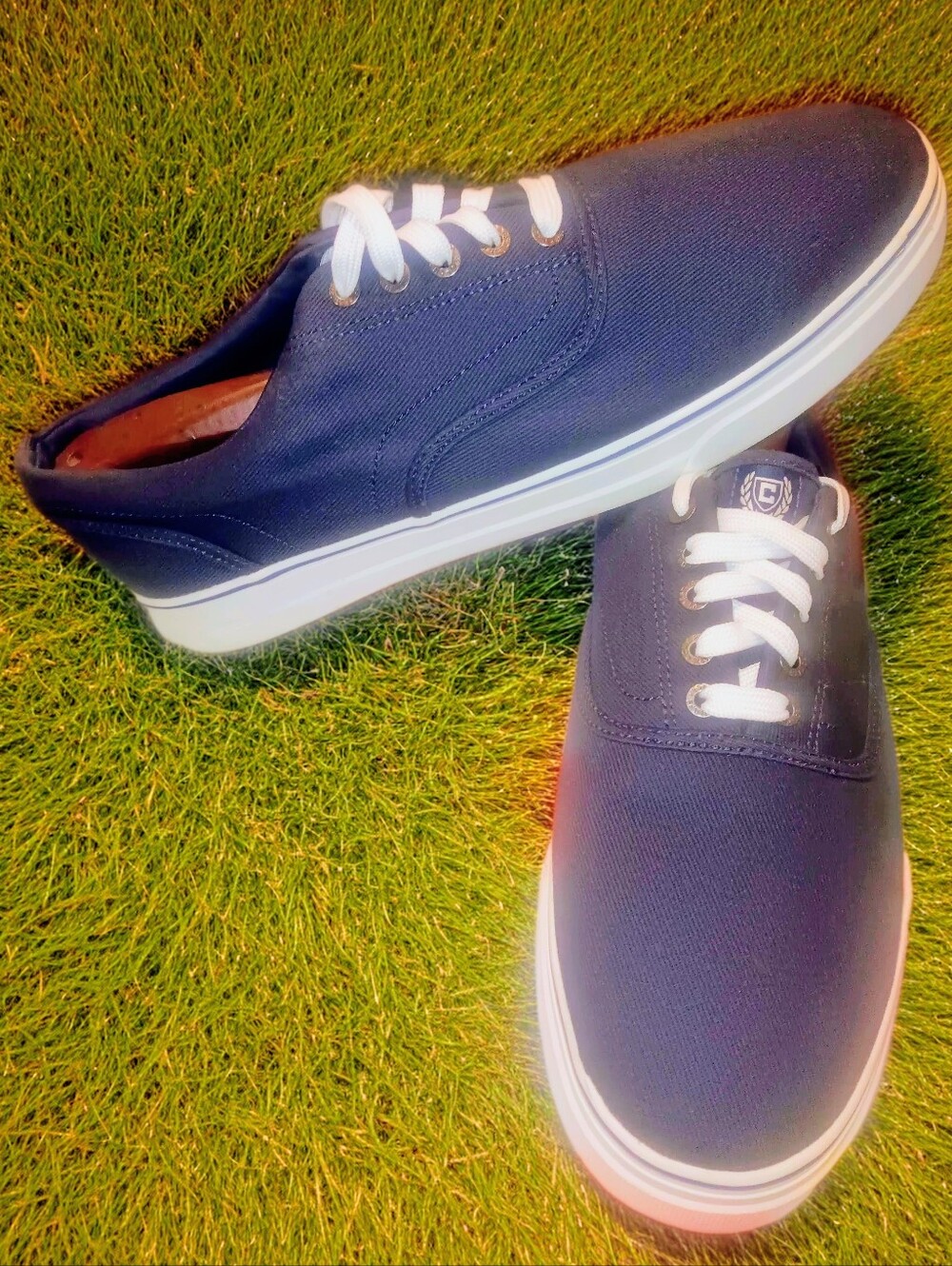 Chaps Chace Men's Navy Blue Canvas Casual Low Top Lace Up Sneakers Size 11